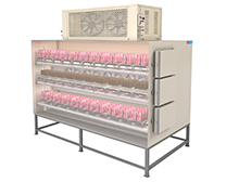 > </div>
<div class=